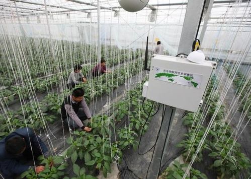 一篇文章讓你看懂互聯(lián)網(wǎng) 農(nóng)業(yè)是什么 前景如何