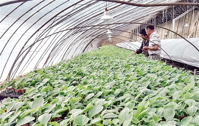 紀(jì)念長(zhǎng)征勝利80周年特別報(bào)道:昔日長(zhǎng)征路 今朝換新顏