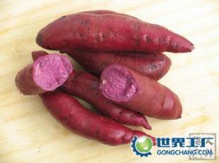 供應(yīng)河北山東山西陜西安徽江蘇湖北浙江紫薯及種苗_食品、飲料_世界工廠網(wǎng)中國(guó)產(chǎn)品信息庫(kù)